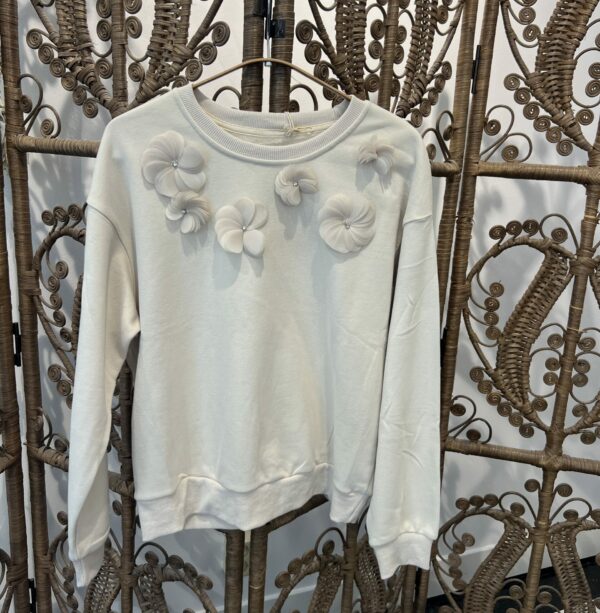 Sample Sale decorative Sweater