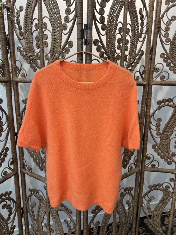 Sample Sale Alpacka