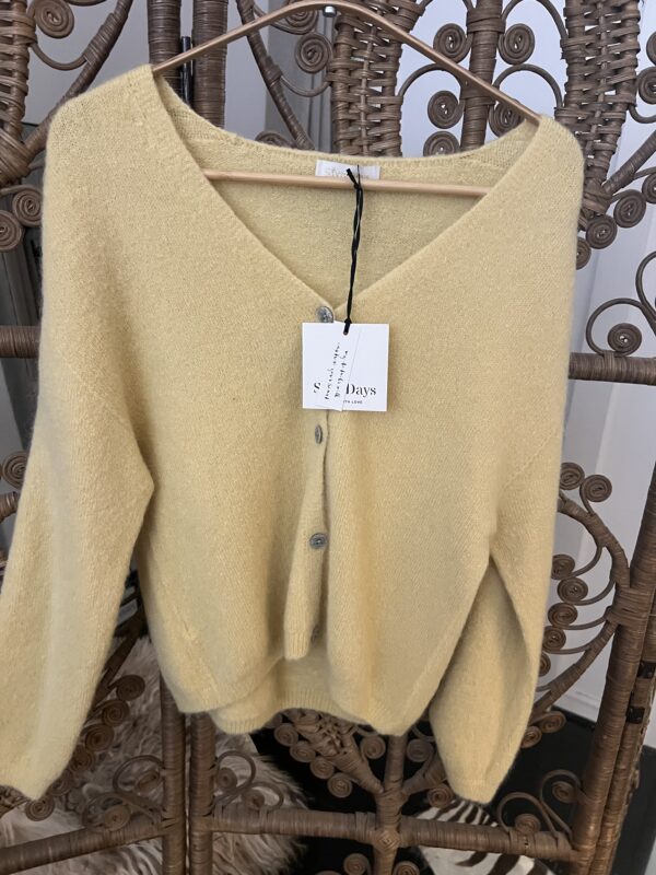 Alpacka VINTAGE YELLOW, 1 left